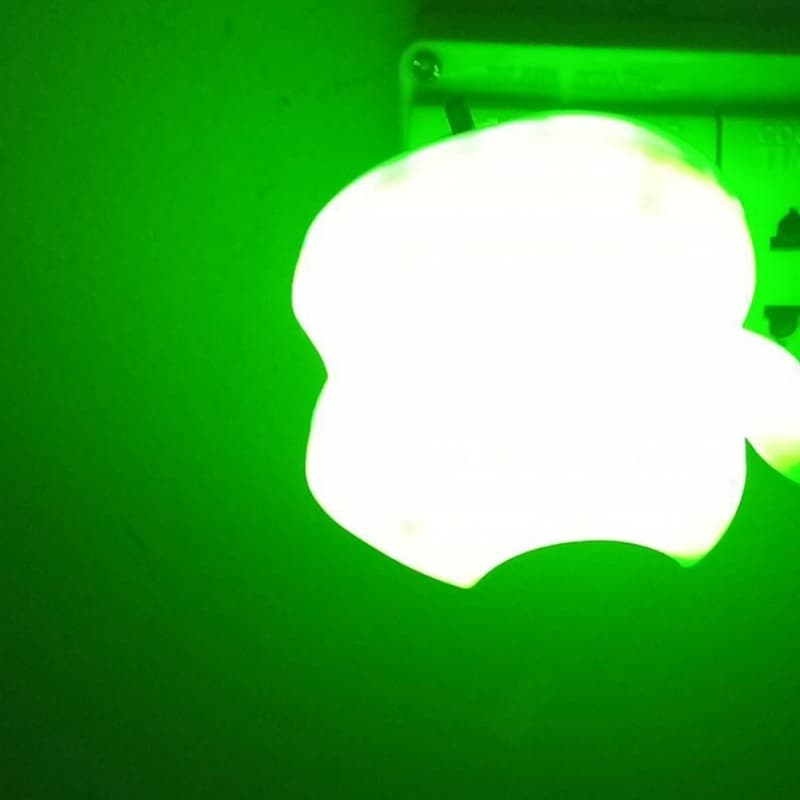 Beautiful night LED light