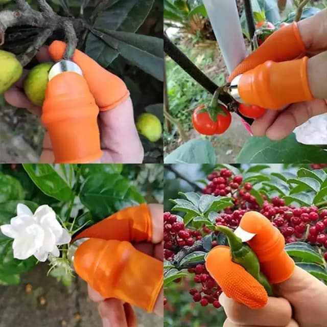 Silicone Thumb Knife Finger Protector

Pack of 5
