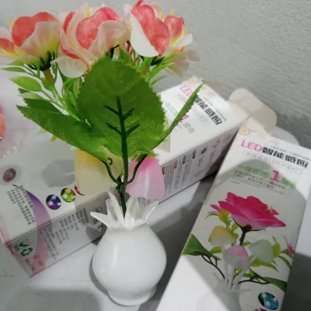 Beautiful Flowers Sensor light