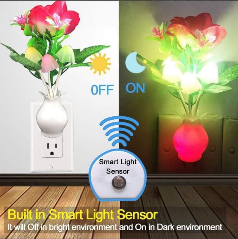 Beautiful Flowers Sensor light